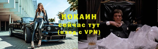 гидра Михайловка