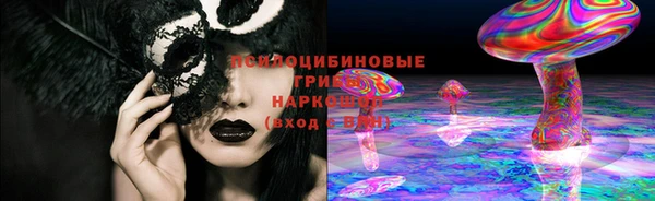 гидра Михайловка