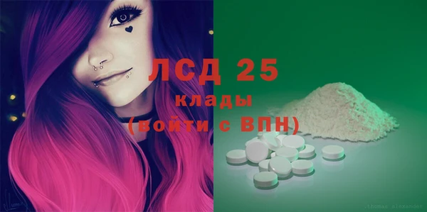 индика Наволоки