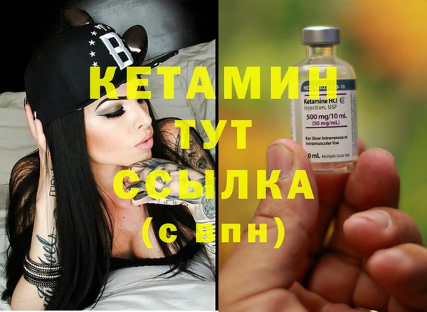 гидра Михайловка
