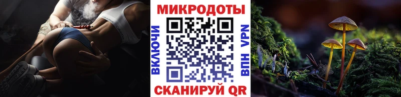 закладки  Катав-Ивановск  Псилоцибиновые грибы MAGIC MUSHROOMS 